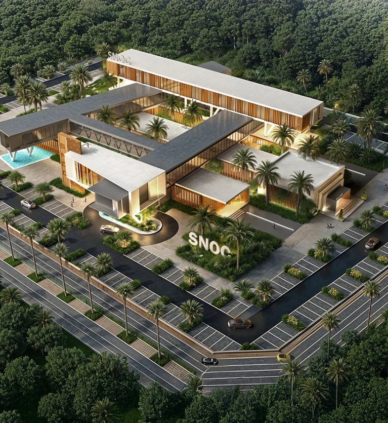 bird high right day copy 2